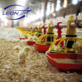 Automatische Broiler-Geflügelfarmgeräte der Leon-Serie mit CE-Zertifikat